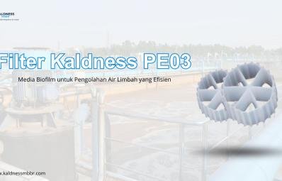 Filter Kaldness PE03